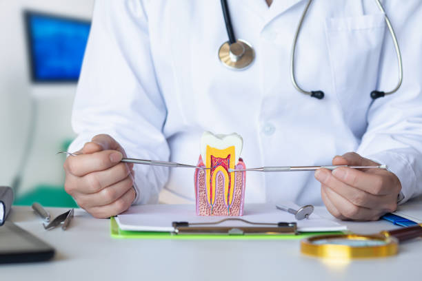Best Knocked-Out Tooth Emergency  in Nottingham, PA